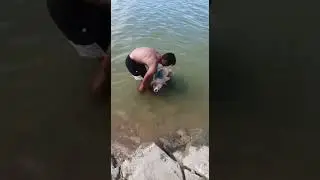 carpa 20 kg pesca en rio EBRO