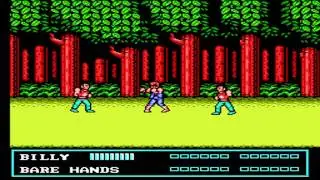 Janitor Jake reviews Double Dragon 3 : The Sacred Stones