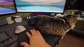 Cat Desk Bed