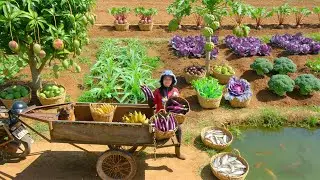 Harvest: Eggplant, Custard Apple, Bananas, Fish, Purple Lettuce, Mangoes To Sell At The Market -Farm