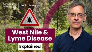 Protect Yourself: Understanding West Nile and Lyme Disease