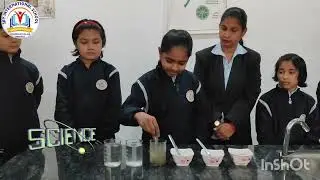 What are Soluble and insoluble substances using Sand, Salt and Sugar Science Experiment #viralvideo