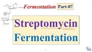 108. Streptomycin Fermentation / Microbial Production of Streptomycin