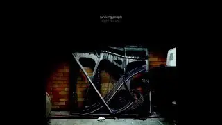 Surviving People - Night Storage