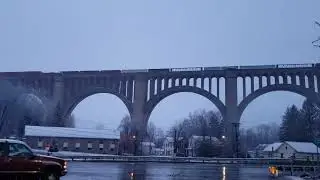 Snowy ns11z