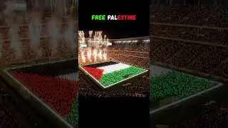 Stadium Lights Up With Palestinian Flag!