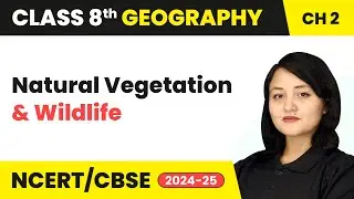 Natural Vegetation and Wildlife | Class 8 Geography Chapter 2 | CBSE 2024-25