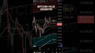 #quedadobitcoin #btchoje #bitcoinhoje #quedanascripto #btc #bitcoin #quedadobtc #cripto #bitcon #dog
