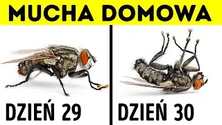 14 oszałamiających faktów o zwierzętach, które Cię zaskoczą TY
