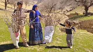 Planting for Tomorrow! 🌱 Kamal and Halimeh Bring New Life to the Mountain Farm 🏔️✨