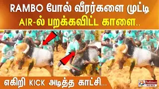 Rambo போல் வீரர்களை முட்டி Air-ல் பறக்கவிட்ட காளை.. எகிறி Kick அடித்த காட்சி... Palamedu Jallikattu