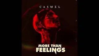 More Than Feelings