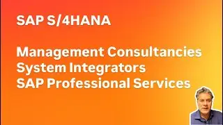 SAP S/4HANA Management Consultancy System Integrators SAP Professional Services