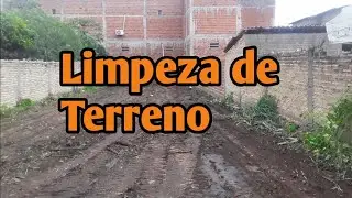 Fazendo Limpeza de Terreno apertado | #maquinaspesadas#w130 #newholland