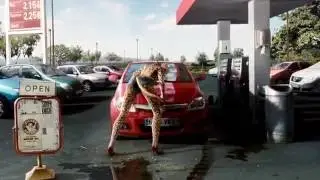 Orangina Leopard