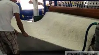 What is the Third Affordable Step of Rug Cleaning in Parkland, OrientalRugCare.Com