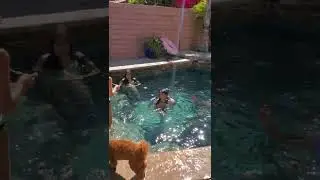 Pool party for kids in Porter Ranch California.  Summer 2022