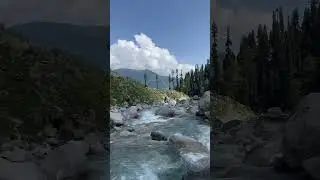 Shangla beauty , beauty of shangla , beauty of Pakistan 🌲🌲 #mountains