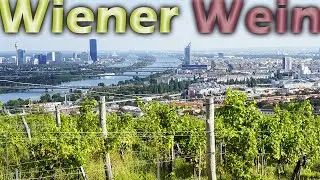 Wien und ihre Weinbau- & Heurigenkultur - Eine untrennbare Beziehung!