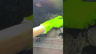 How to clean your BBQ grill | CLR Brands #clr