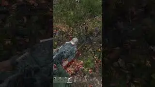Dayz - Файт на тисах  #dayz #дэйз #seadayz #shorts