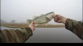 Foggy Morning fishing 🎣
