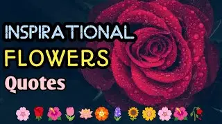 Flowers Quotes With Images 🌹🌹| Flower Quotes | Flowers Quotes  🌺🌺