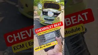Chevrolet beat engine control module |अपने beat  petrol का दिमाग डेड हो गया | #ecm #car #problems