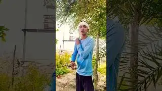 PD love pahle tab bataave 😂🤣 #shorts #comedy #funny #ytshorts #tjgt