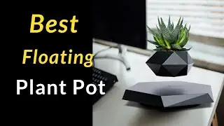 Levitating Plant Pot, Floating Plant, Flower Pot for Gift