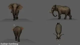 Elephant Walk Cycle