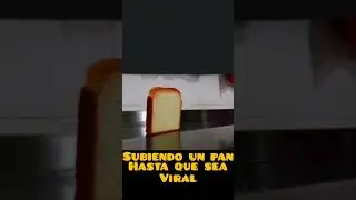 D&iacute;a 14#humor #memes #bread #shorts #shortsvideo #viralshorts
