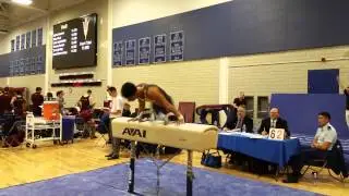 Bryan De Los Santos Pommels RMO 2015