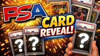 PSA Card Reveal with Gill