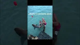 Bahamas fishing was So Fun☀️🌊⛱️#fishingtrip #bahamas #fish #fishing