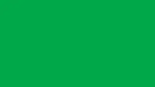 Stress-Free Zone: 5 Hours of Tranquil Lush Green Atmosphere | Background | Screensaver | 4K