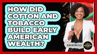 How Did Cotton And Tobacco Build Early American Wealth? - Black History Files