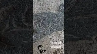 Mosaico - Terme del nuotatore