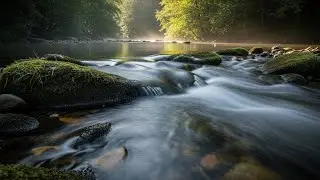 Relaxing River Sounds - Peaceful Forest River - Hours Long - HD 1080p - Nature Video