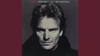 Why Should I Cry For You? (Spanish Version)