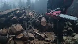 Jonsered cs 2253 porting vs husqvarna 550xp mark2