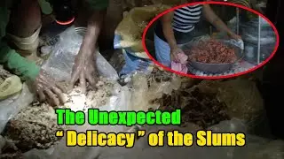 Chicken Bones from the Trash: The Unexpected 