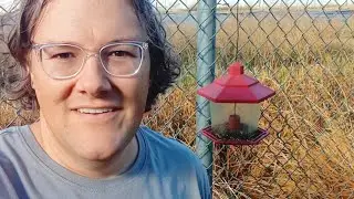 Setting up Wild Bird Feeders to feed the Backyard Birds over the Winter.