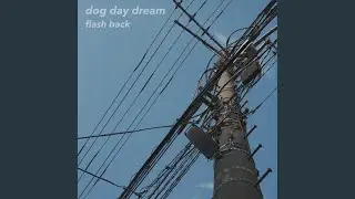 in a daze