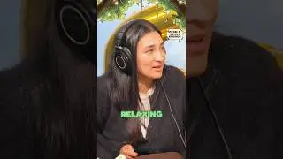 права пассажирки принцессы