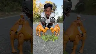 Rc Remote Control 2 Ta Rc Rajasthani Camel Unboxing🔥
