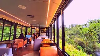 What is like to travel in a LUXURY TRAIN in BRAZIL across the Atlantic FOREST