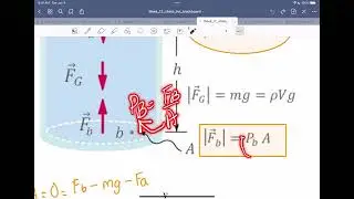Week 12 Content Review 22/23 Final Exam