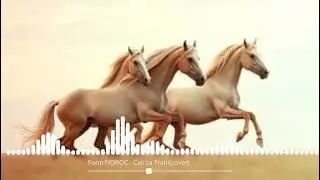 Form NOROC  Caii ca Frațiicover
