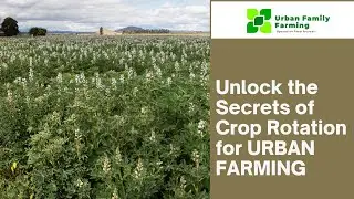 UNLOCK THE SECRETS OF CROP ROTATION FOR URBAN FARMING!!!